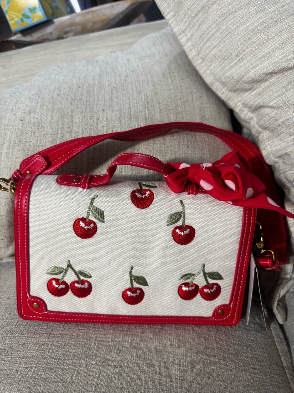 Steve Madden Red and Cream Cherry Embroidered Crossbody Bag